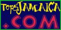 Top 5 Jamaican Websites Reviewer